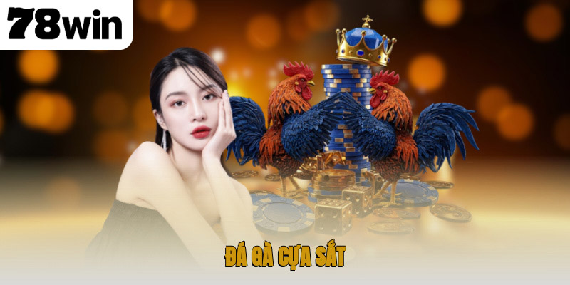 Đá Gà Cựa Sắt – Trò Chơi Truyền Thống Hấp Dẫn và Đỉnh Cao 1 Đá gà cựa sắt
