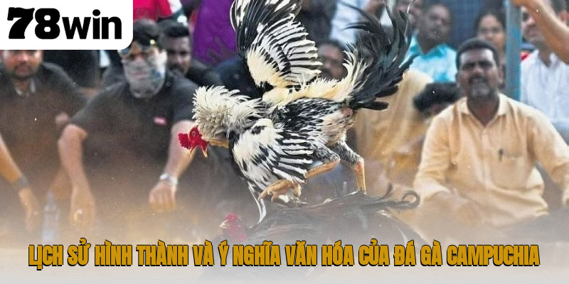 Thế giới đá gà Campuchia – nơi hội tụ đam mê và kịch tính 2 Lịch sử hình thành và ý nghĩa văn hóa của đá gà Campuchia