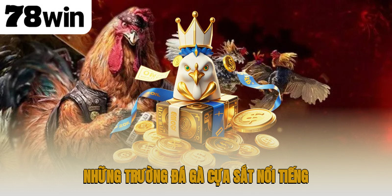 Đá Gà Cựa Sắt – Trò Chơi Truyền Thống Hấp Dẫn và Đỉnh Cao 3 Những trường đá gà cựa sắt nổi tiếng