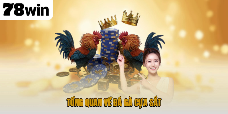 Đá Gà Cựa Sắt – Trò Chơi Truyền Thống Hấp Dẫn và Đỉnh Cao 2 Tổng quan về đá gà cựa sắt